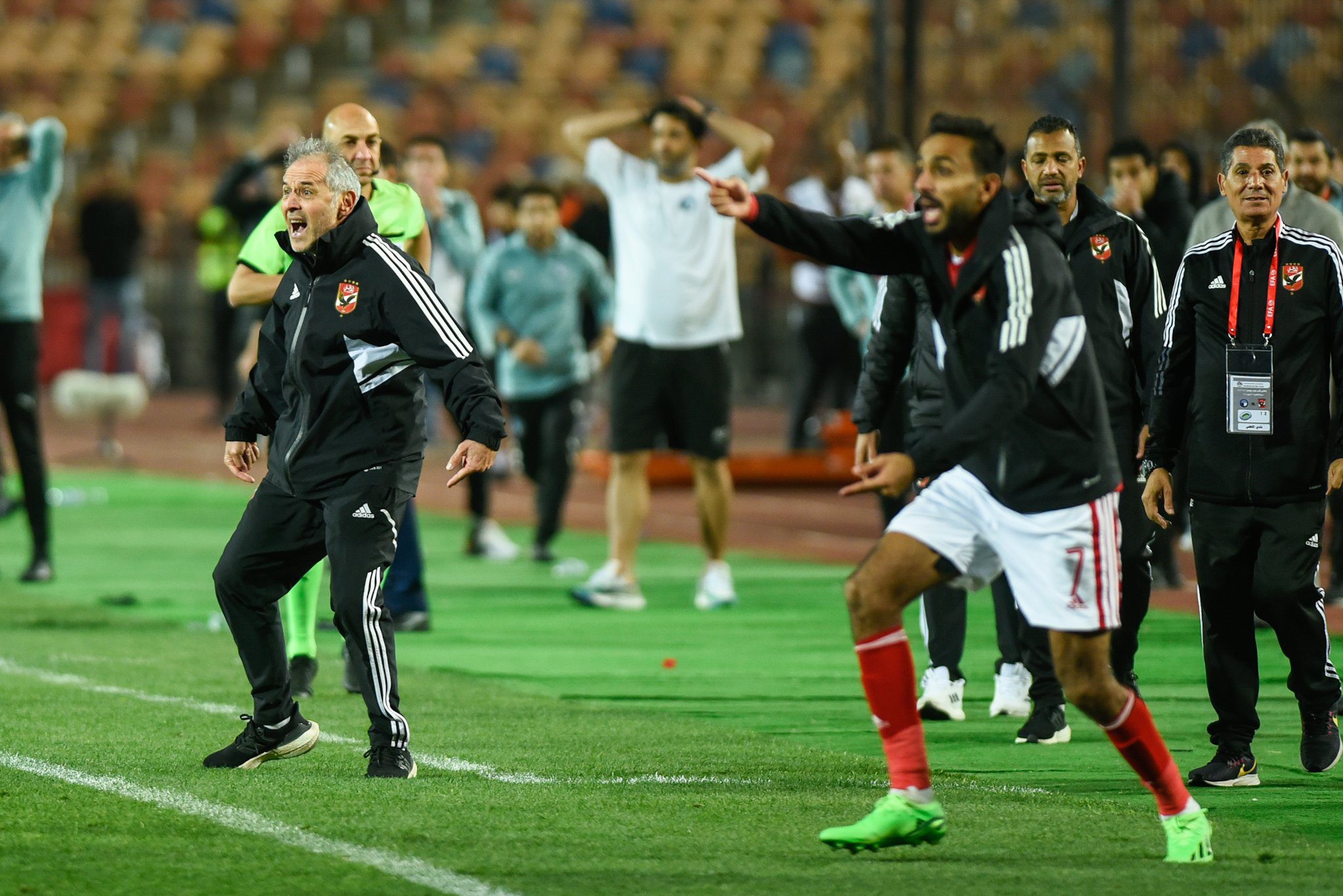 اهداف مباراة الأهلي وفاركو في الدوري المصري مباراة الأهلي وحرس الحدود