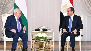 السيسي
