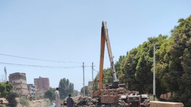 محافظ أسيوط
