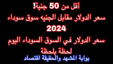 أقل من 50 جنية! سعر الدولار مقابل الجنيه سوق سوداء 2024.. سعر الدولار في السوق السوداء اليوم لحظة بلحظة