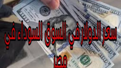 سعر الدولار في السوق السوداء في مصر اليوم 365