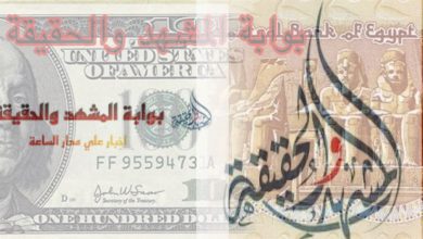 "بيعًا وشراءً" سعر الدولار في السوق السوداء في مصر اليوم 365 الجمعة 8 مارس 2024