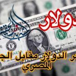 "بعد ارتفاعه في 5 بنوك" سعر الدولار اليوم في البنوك اليوم السبت 30 مارس 2024