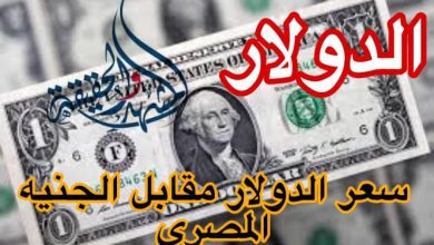 "بعد ارتفاعه في 5 بنوك" سعر الدولار اليوم في البنوك اليوم السبت 30 مارس 2024